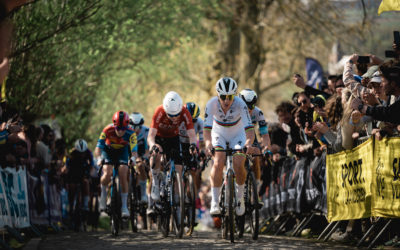 Vingt-huit nouvelles courses rejoignent l’AIOCC.